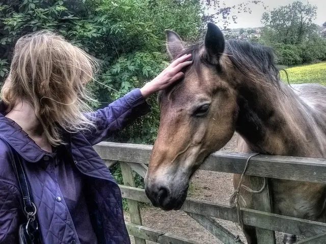 Jamie Snowden assiste a un'eccitante novità mentre circa 20 nuovi investitori si uniscono alle fila