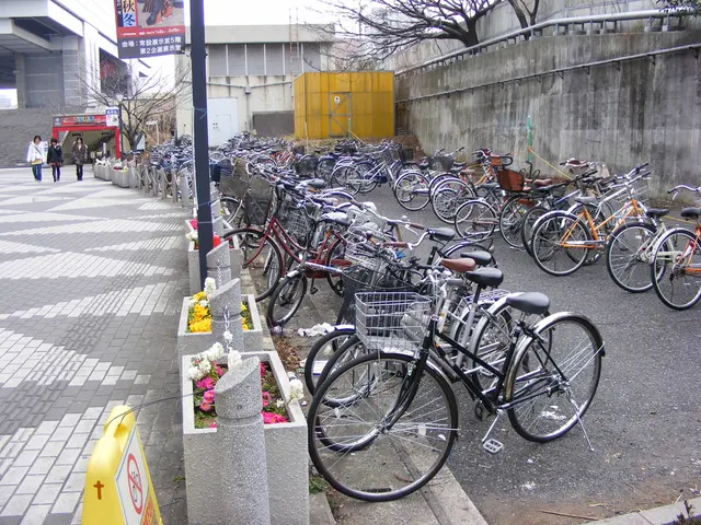 Percorso commemorativo alle Pietre d'inciampo a Harburg: Tour a piedi e in bicicletta