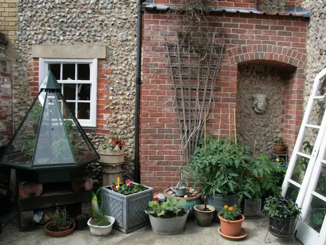 Guida per il trasferimento delle piante dell'Aerogarden nel terreno all'aperto: un processo...