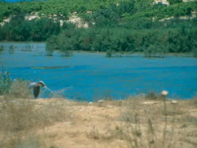 Guida per l'estrazione efficace dei nutrienti dal terreno per una crescita vegetale ottimale
