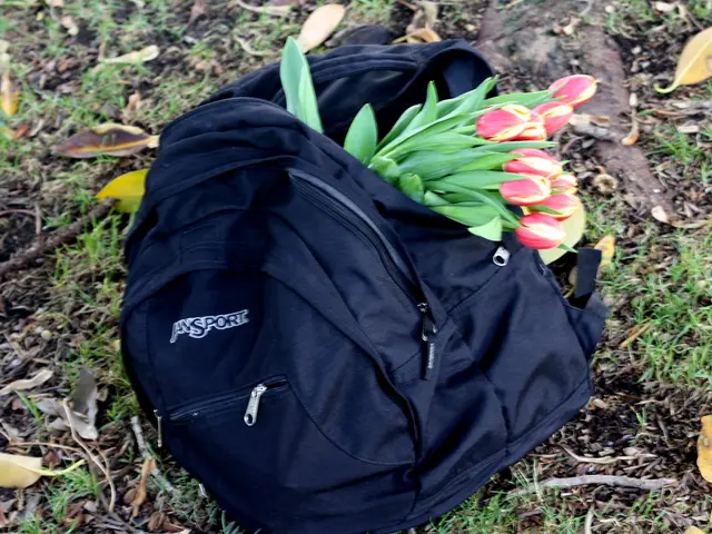 Guida per Eliminare le Erbe Infestanti Prima del Piantamento: Strategie per la Preparazione del...