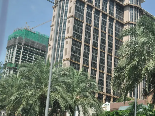 Trasformazione del paesaggio edile in Arabia Saudita: l'utilizzo innovativo delle palme del deserto...