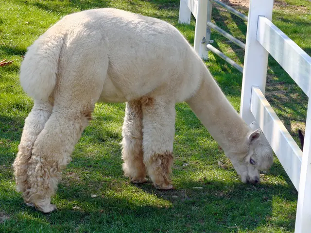 Metodi per Eliminare i Topi dal Giardino: 4 Metodi Efficaci