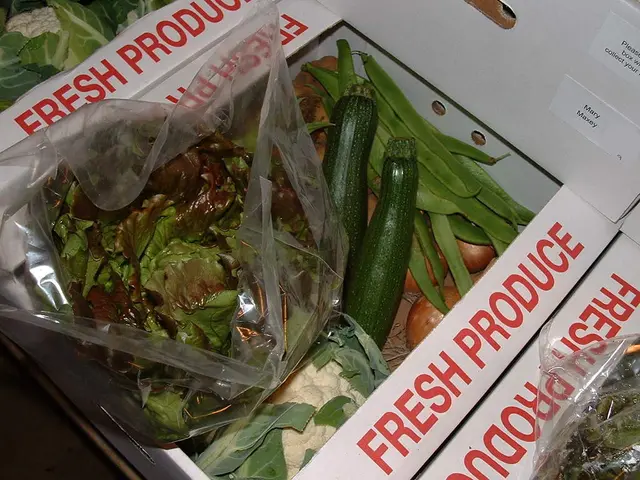 Imbiancare Semi in Febbraio per Crescita di Erbe e Verdure Fresche