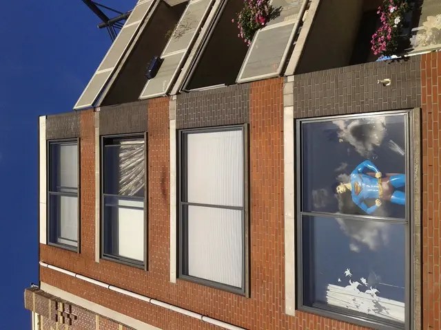 Piante per Casa a Basso Impegno Ideali per Persone Occupate