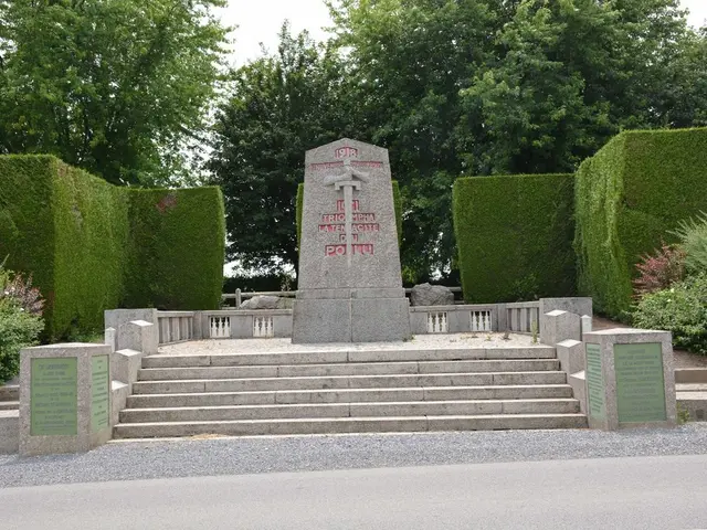 Processo a più fasi del Viaggio Sciamanico