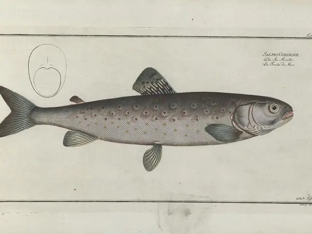 Clienti Esperienza Dimensione Ridotta nel Pesce Impanato Acquistato da Albert Heijn