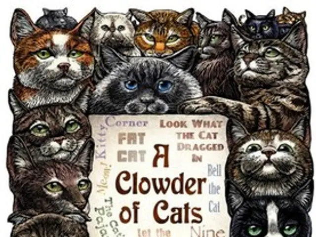 Esoneri che consentono la sospensione della classificazione ritardata