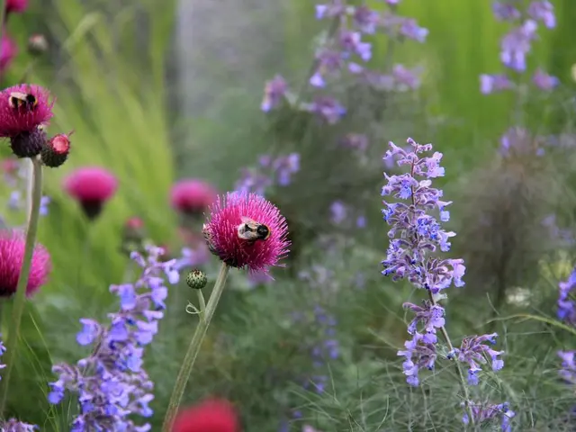 Istruzioni per la pubblicazione di foto complete su Instagram (senza ritaglio)