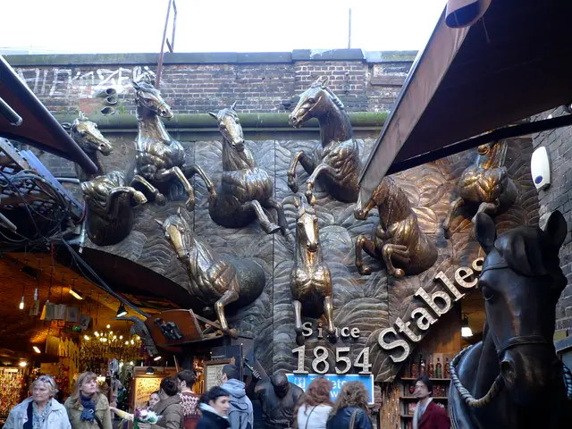 Unisciti alla Squadra NF+: Cercasi creativi con focus sull'equitazione!