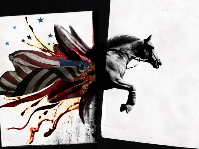 Episodio 11: La fama di Instagram di Jerri Scherff e l'ineguaglianza svelata nel mondo della...