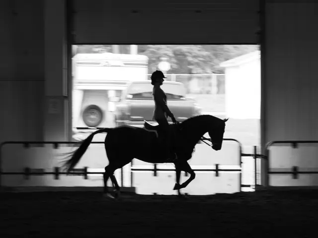 Episodio 6: Jodie Morton si rivolge alla comunità equestre - Affrontare