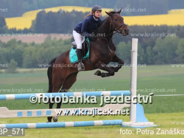 Episodio 4 del film:njuggira stunts cinematografici, formazione di cavalli e maternità con Niki...