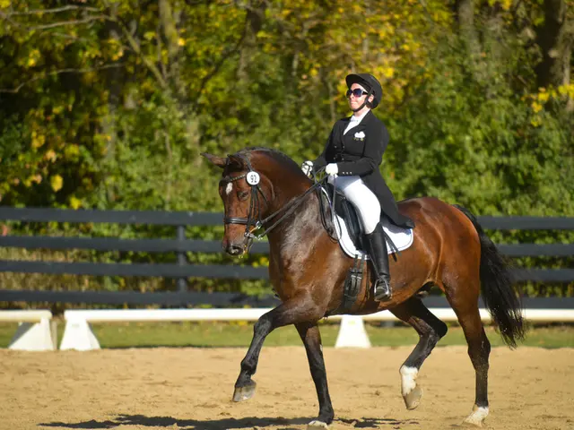 Ottieni informazioni sul fabbisogno di un cavallo: lezioni principali dal corso NF di Josh Nichol