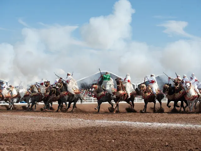 Lettera aperta di Tik Maynard: Esponendo i motivi per l'iscrizione a NF+ e incoraggiando a seguirne...