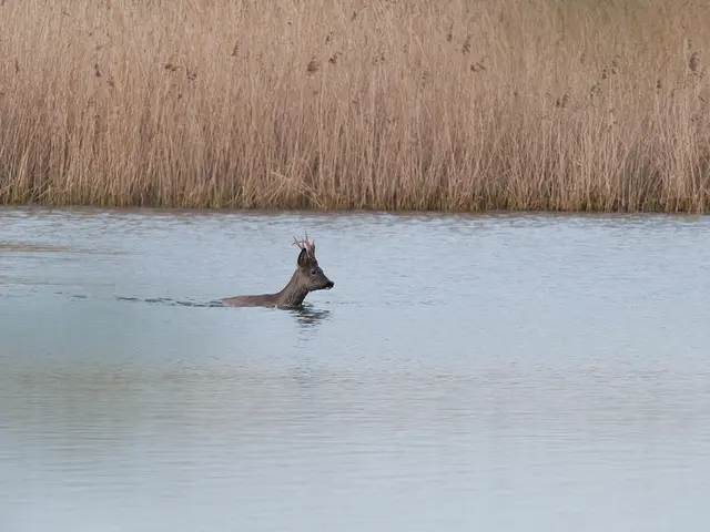 Gli investitori potrebbero affrontare gravi conseguenze se ignorano il aumento della scarsità...