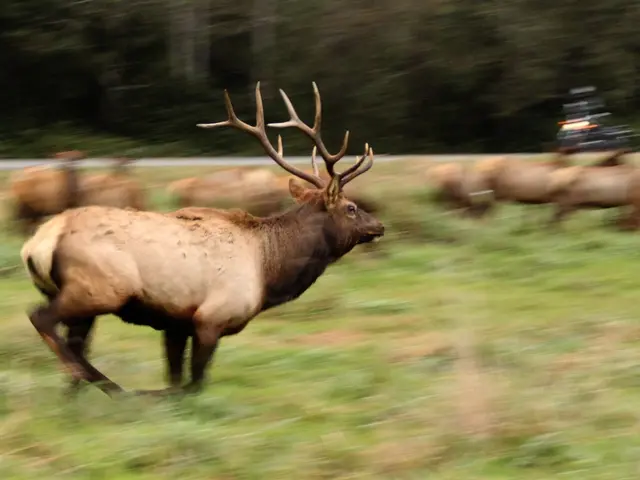 Una persona è morta in un grave incidente stradale, segnalato a nord di Red Deer.