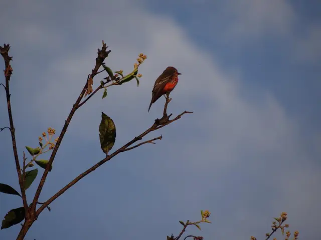 Previsioni per Puerto Madryn dell'1 settembre 2025: Quale tempo ci aspetta?