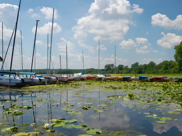 Zoe Saldana in Vacanza con la Famiglia, Condividendo Paesaggi Mozzafiato