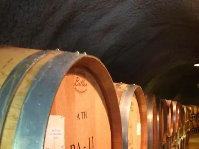 Guida per la protezione delle piccole imprese: Capire la pesca del barile e le potenziali misure di...