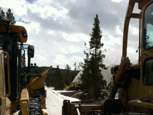 Controllo delle Spese per il Magazzinaggio Cloud in Applicazioni di Dati su Grande Scala