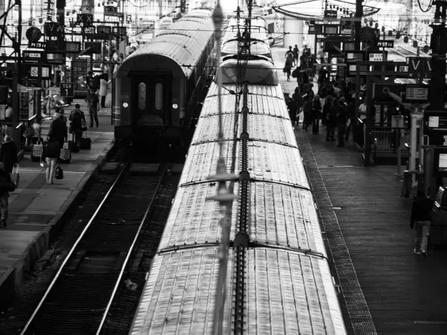 Bambino trovato pericolosamente vicino ai binari del monorotabile a Hersheypark captured on video