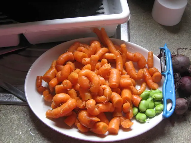 Offerte di lavoro di Om Chao Biro Pellet Feed Industries per stadenote contabile e assistente...