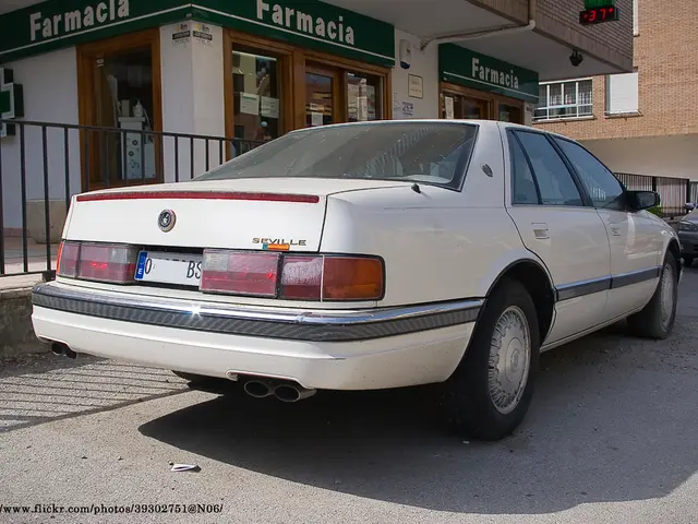 Mistero Svelato: Prototipo Porsche 911 Assomiglia a Design Nasobee acuminata