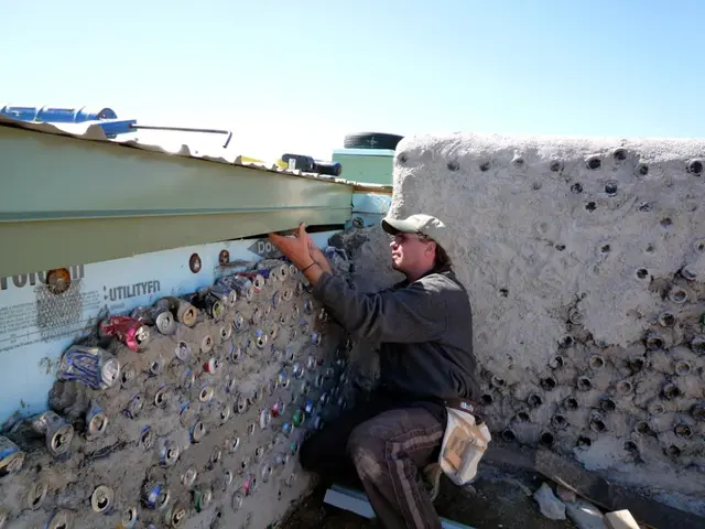 Tinubu Ignora Preoccupazioni per Dazi di Trump