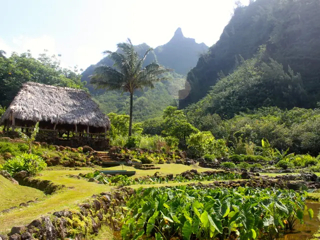 Comprendere la sindrome da cuore spezzato: uno sguardo alla sua natura