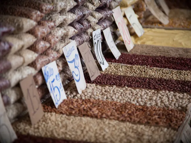 Trennex esprime una visione favorevole verso la partecipazione all'evento CHINA DIECASTING 2025