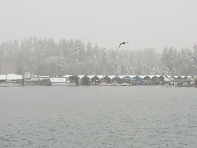 Albatros Gigante, Detentore del Record per l'Apertura Alare Più Larga tra gli Esseri Volanti,...