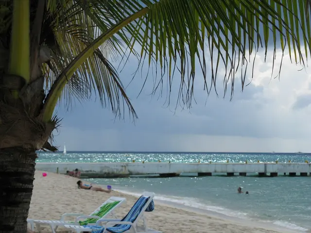 Obama sostiene Debbie Wasserman Schultz per la posizione in Florida: unito l'establishmentremaining