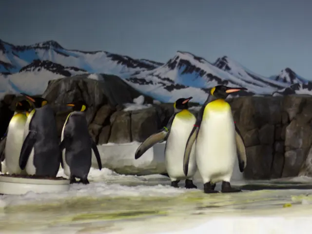 La Verità Sulla Crescita Del Livello Del Mare alla Luce della Ricerca Scientifica