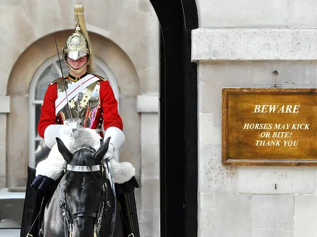 Distinguere tra Purosangue al Kentucky Derby e Agenzia Pubblicitaria: Un compito difficile?