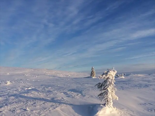 Piogge attese prima dell'alba del sole