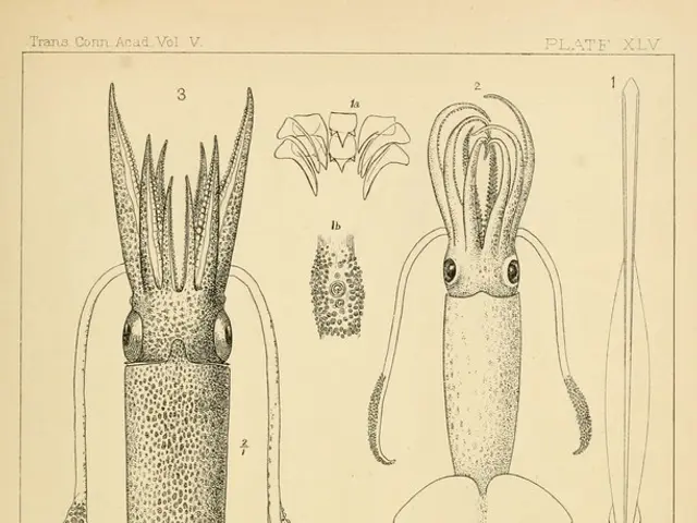 Godzilla Classificato Creatura Preistorica?