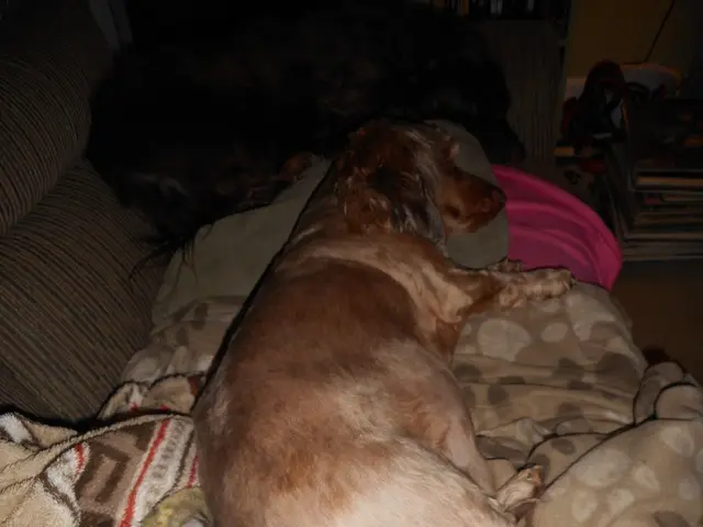  Interpretare i significati nascosti nei sogni sulla intimità e sulla sicurezza