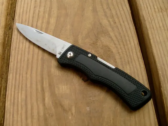 Migliora il modello rinomato 110 con un' edizione limitata di coltello tascabile di alta gamma con...