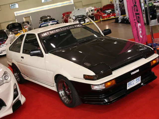 Ristrutturazione africana ispirata per la Porsche 911 del 1986, completa di cesta per il tetto in...