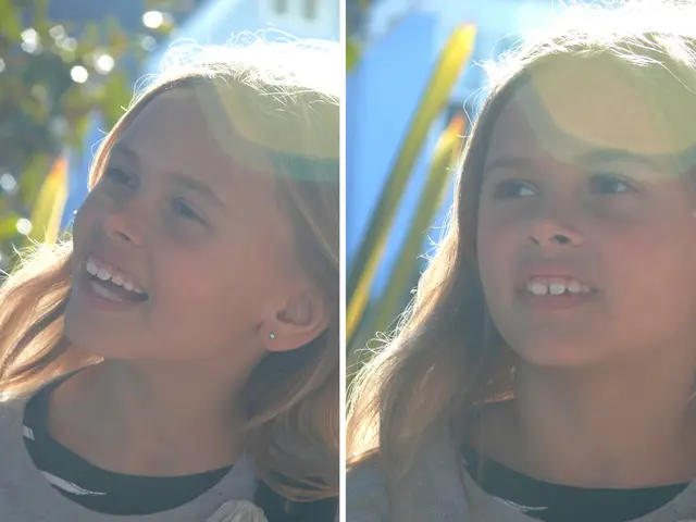 Vizi di sistema svelati nel caso di Friedland