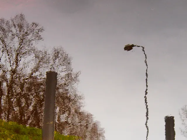 Linee guida riviste per la regolamentazione delle acque