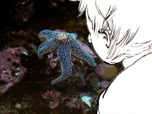 Supportare l'applicazione