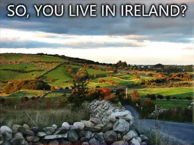 Risposta rapida dei vigili del fuoco mentre l'incendio nella campagne di Hollywood Hills...