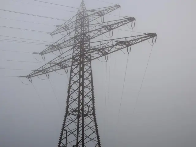 Effetti dei Dischi Electrichi sulla Prestazione dei Satellite Rattoppati in Nuovo Studio