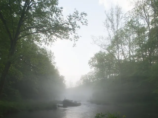 Navigatorë di inquinamento da PFAS: Invicta acqua si posiziona in prima linea nella bonifica...