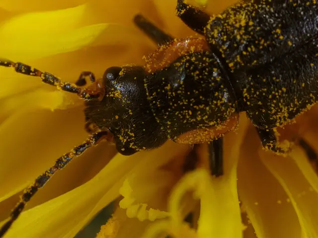 La Francia legalizza la legge proibizionista per i pesticidi controversi