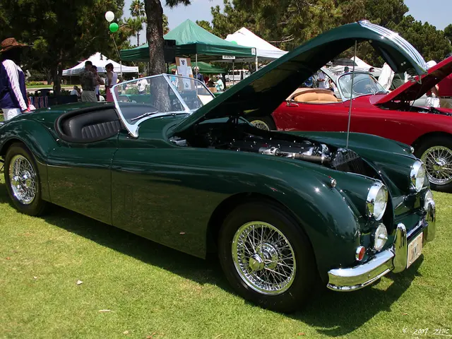 Recensione del campeggio presso il campeggio di Bled sul lago Bled