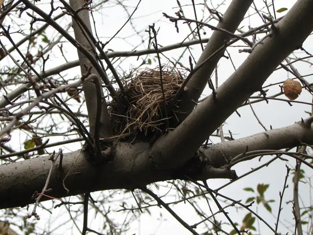 Il Chief Executive Officer di Nestlé, Laurent Freixe, è stato licenziato dopo un'indagine che ha...