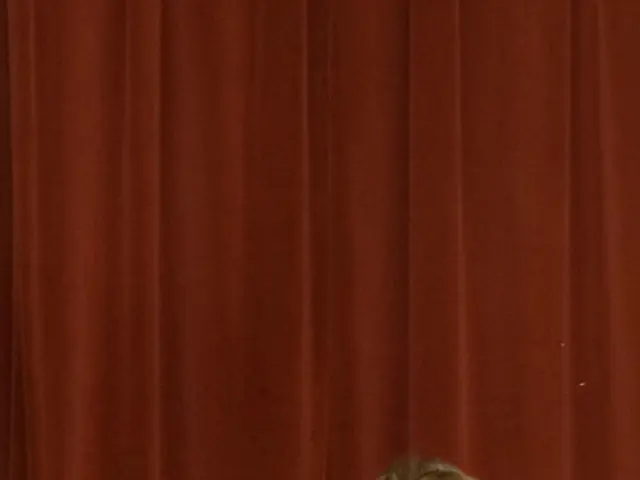 Qualità Comuni Tra I Membri Della Famiglia Reale: Principe Harry, Principe William e Kate Middleton